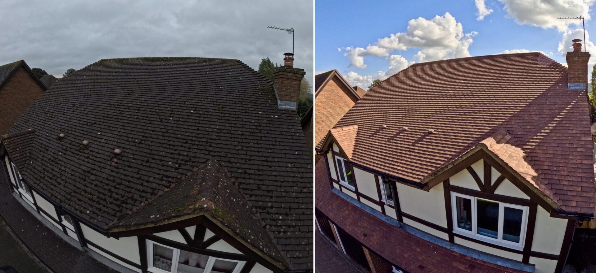 Property Surveyors Recommend Moss Removal From Roofs