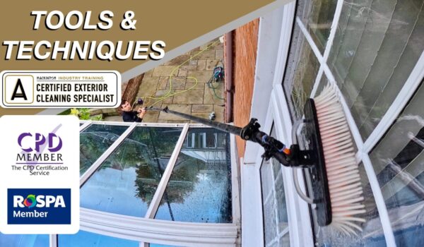 Untitled design copy 2.png