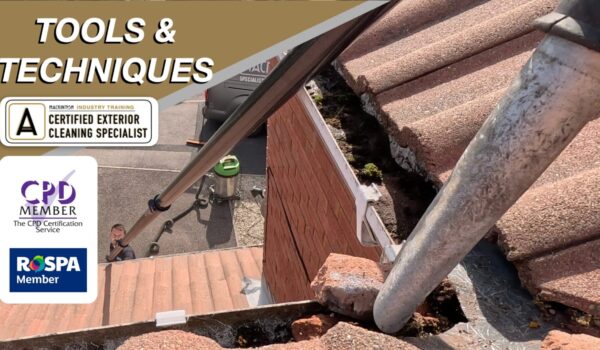 Untitled design copy.png